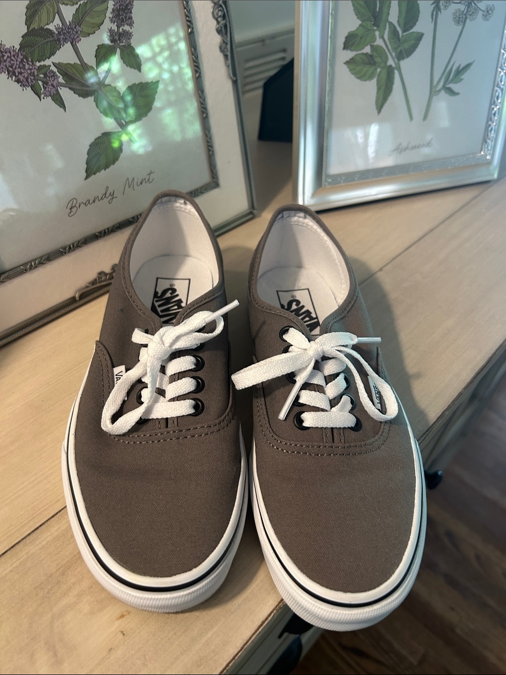 Vans Taupe Canvas Low-Top Sneakers with White Laces